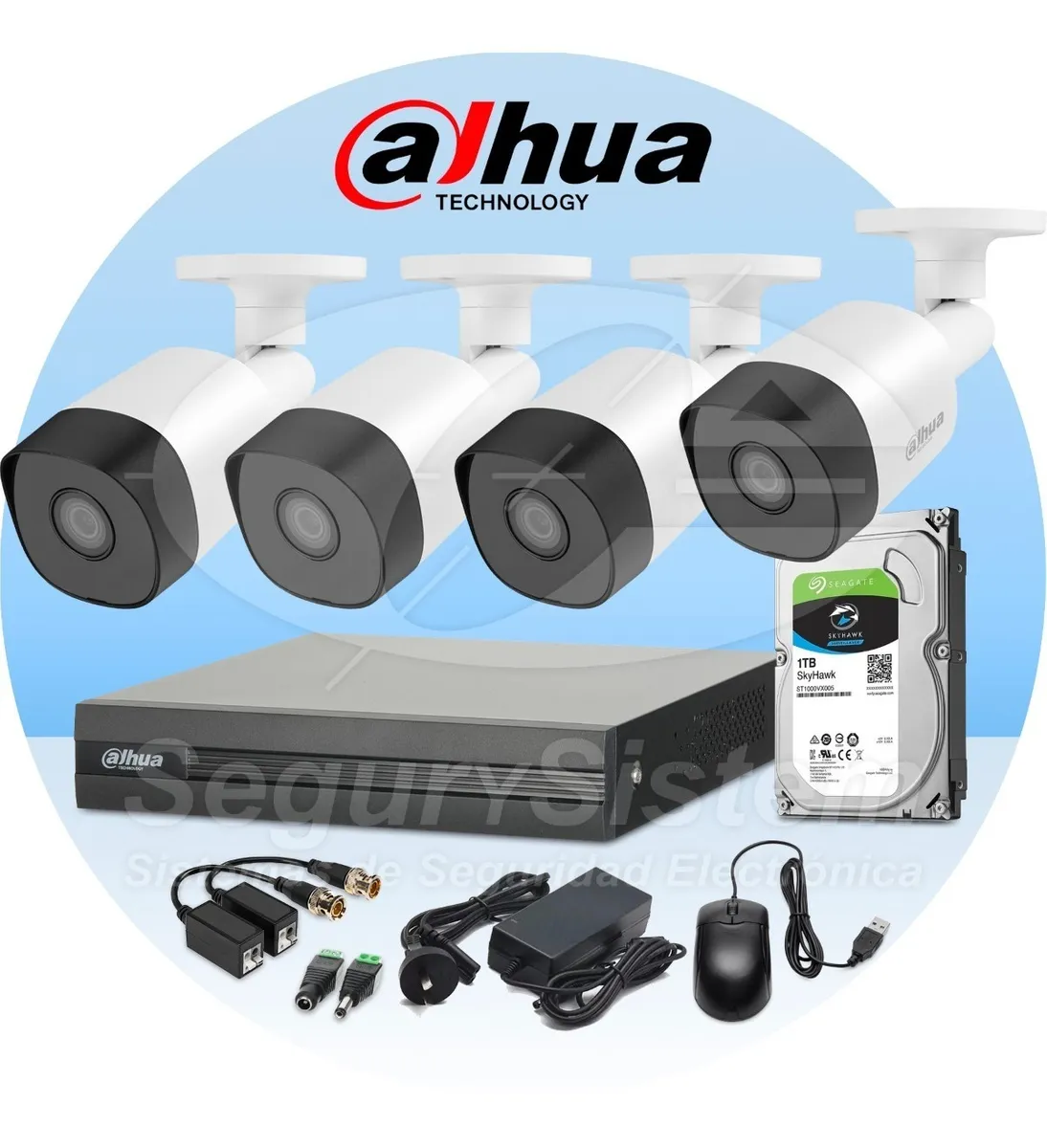 Sistema de 4 Cámaras de Seguridad con INSTALACION incluida!!!