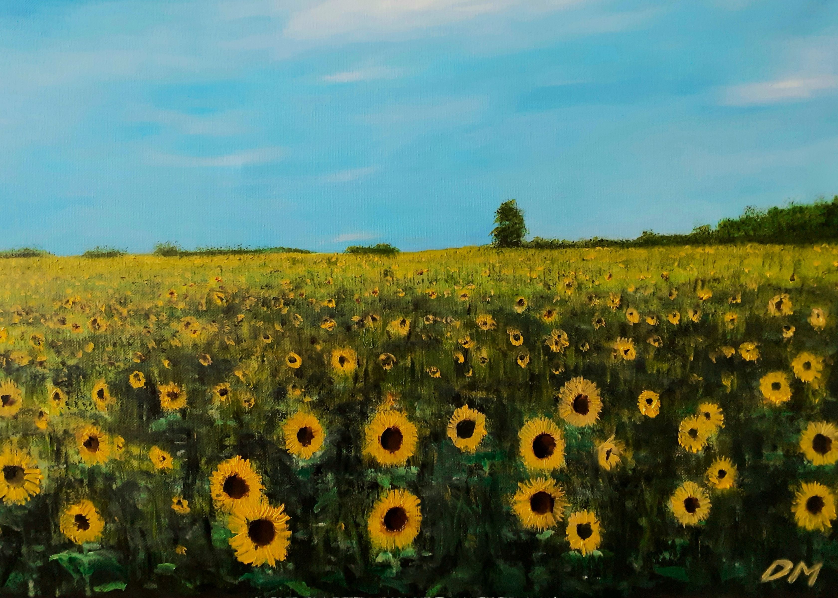 Sunflowers