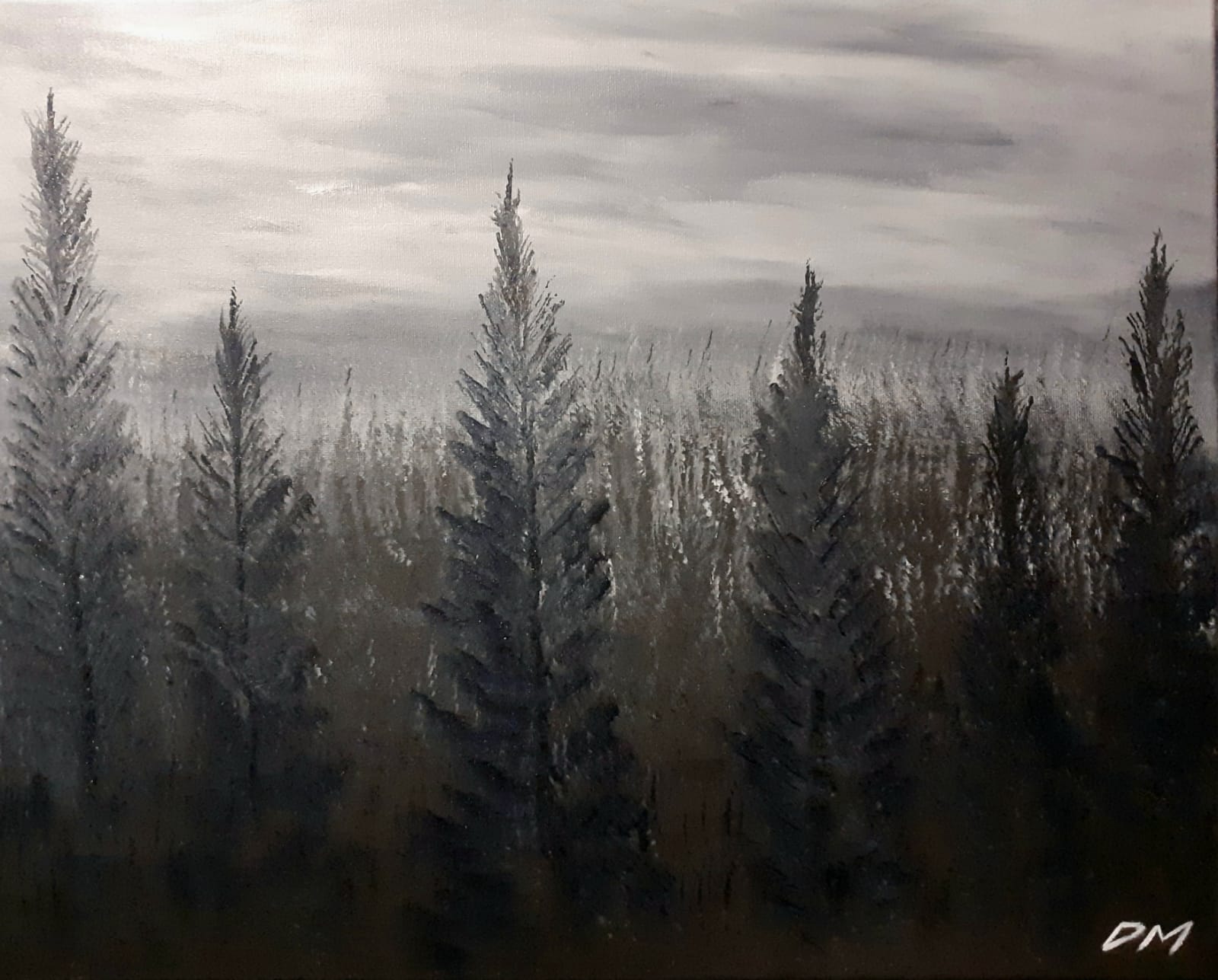 Misty Woods