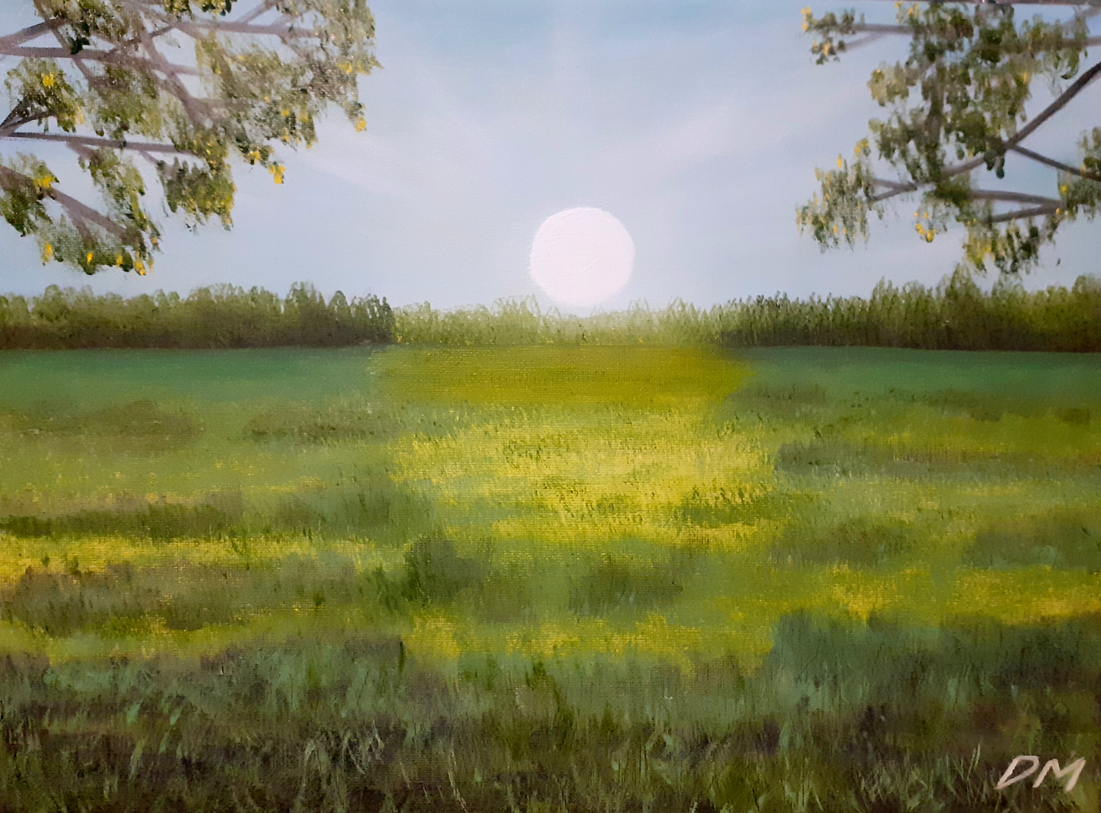 Green Green Grass