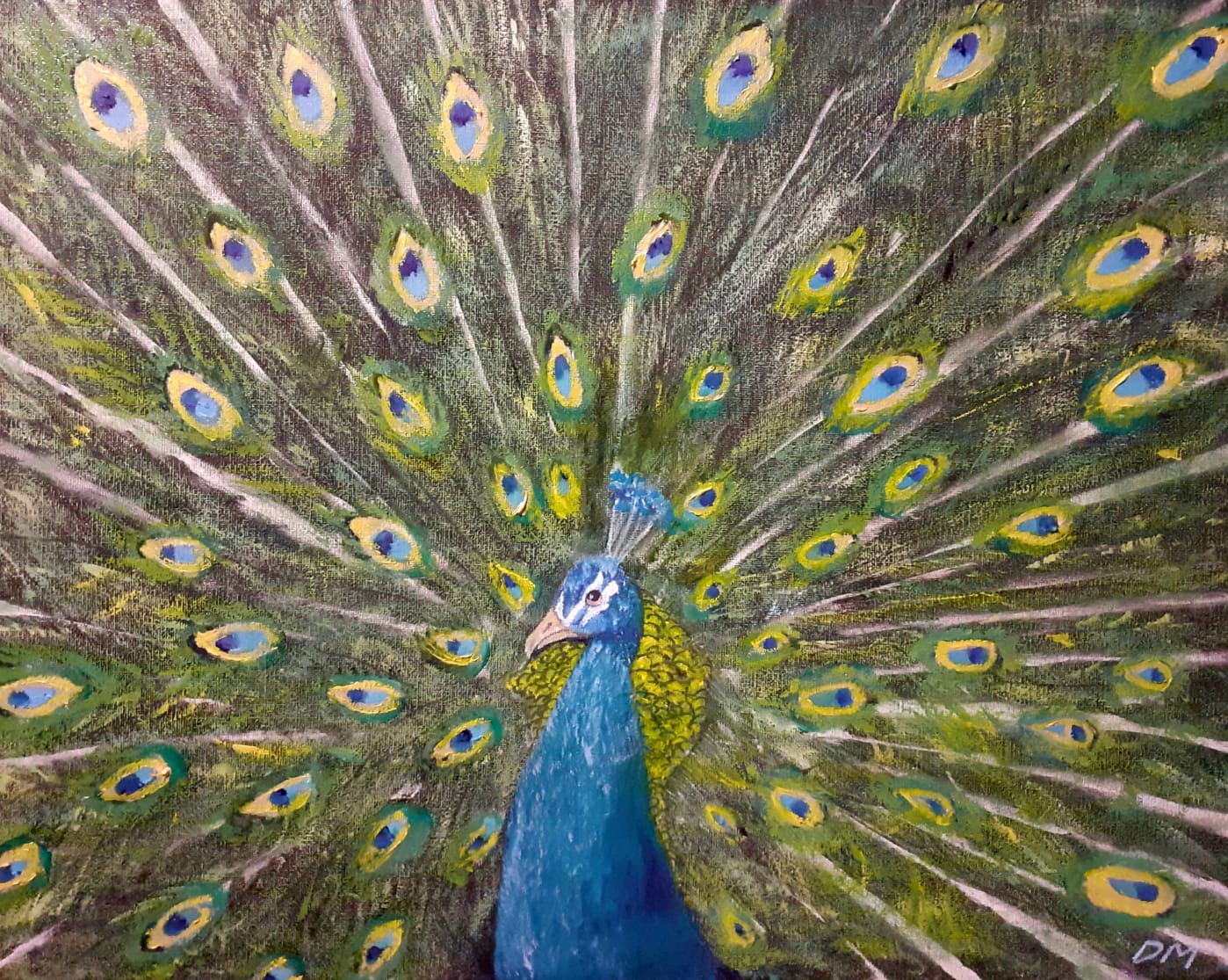 Proud as a Peacock