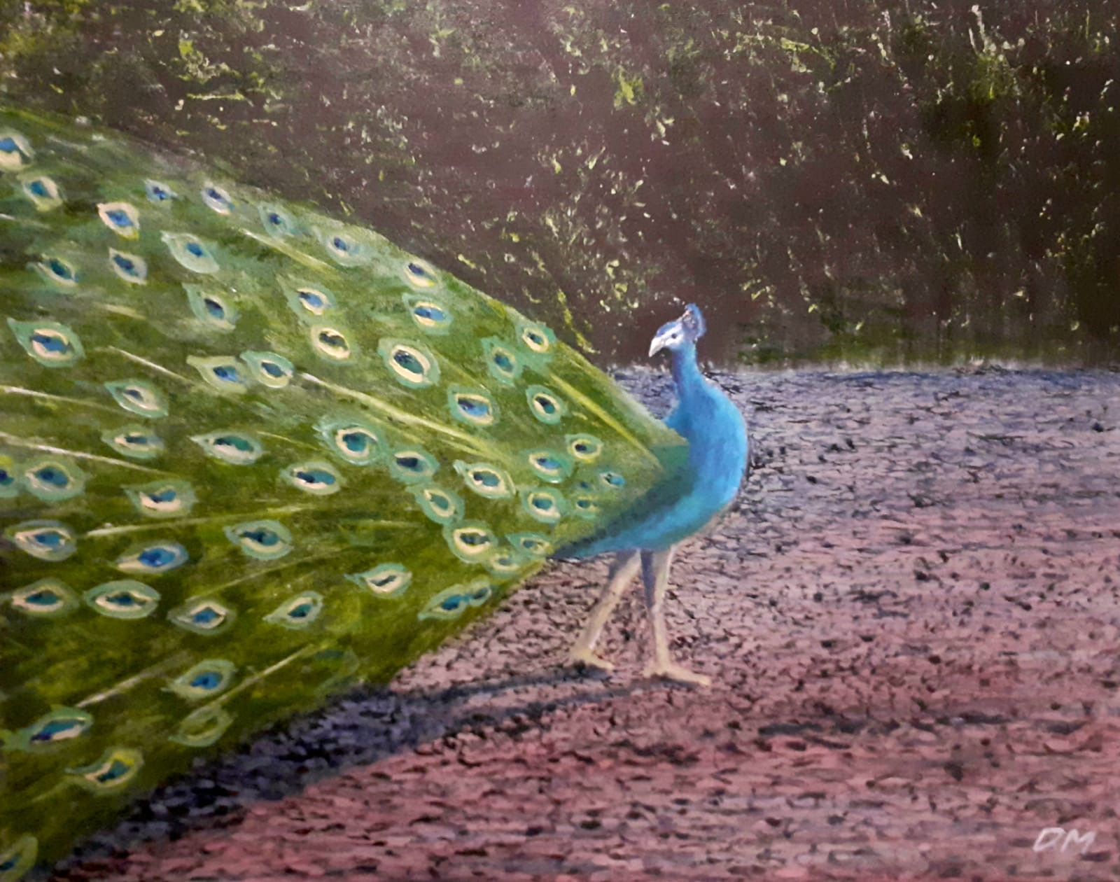 The Strut