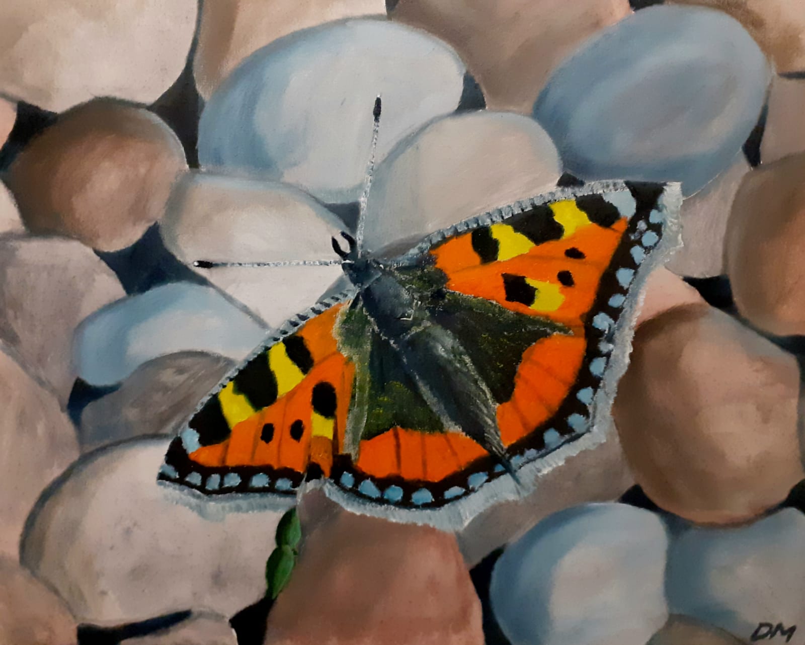 Beautiful Butterfly