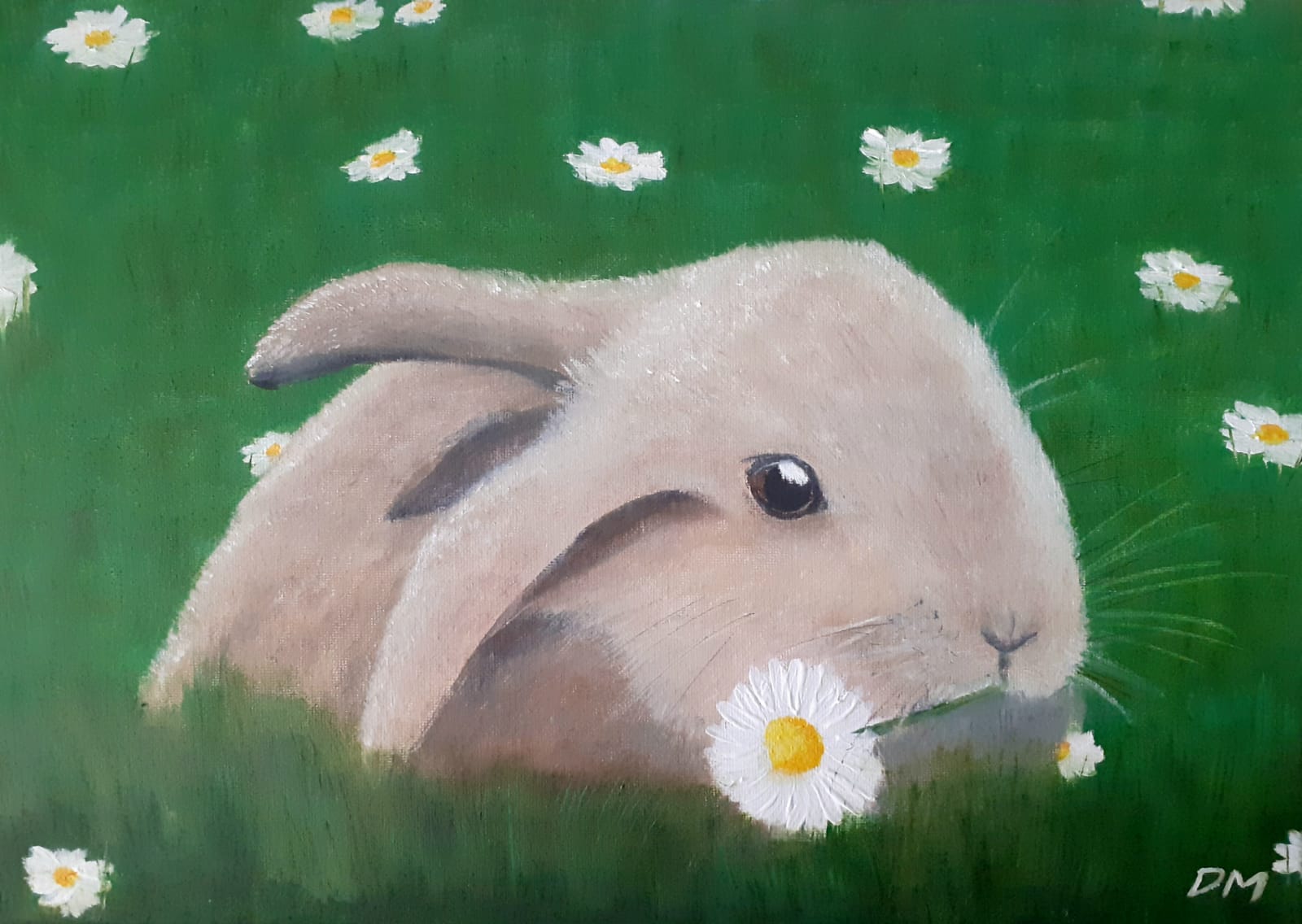 Spring Bunny Rabbit