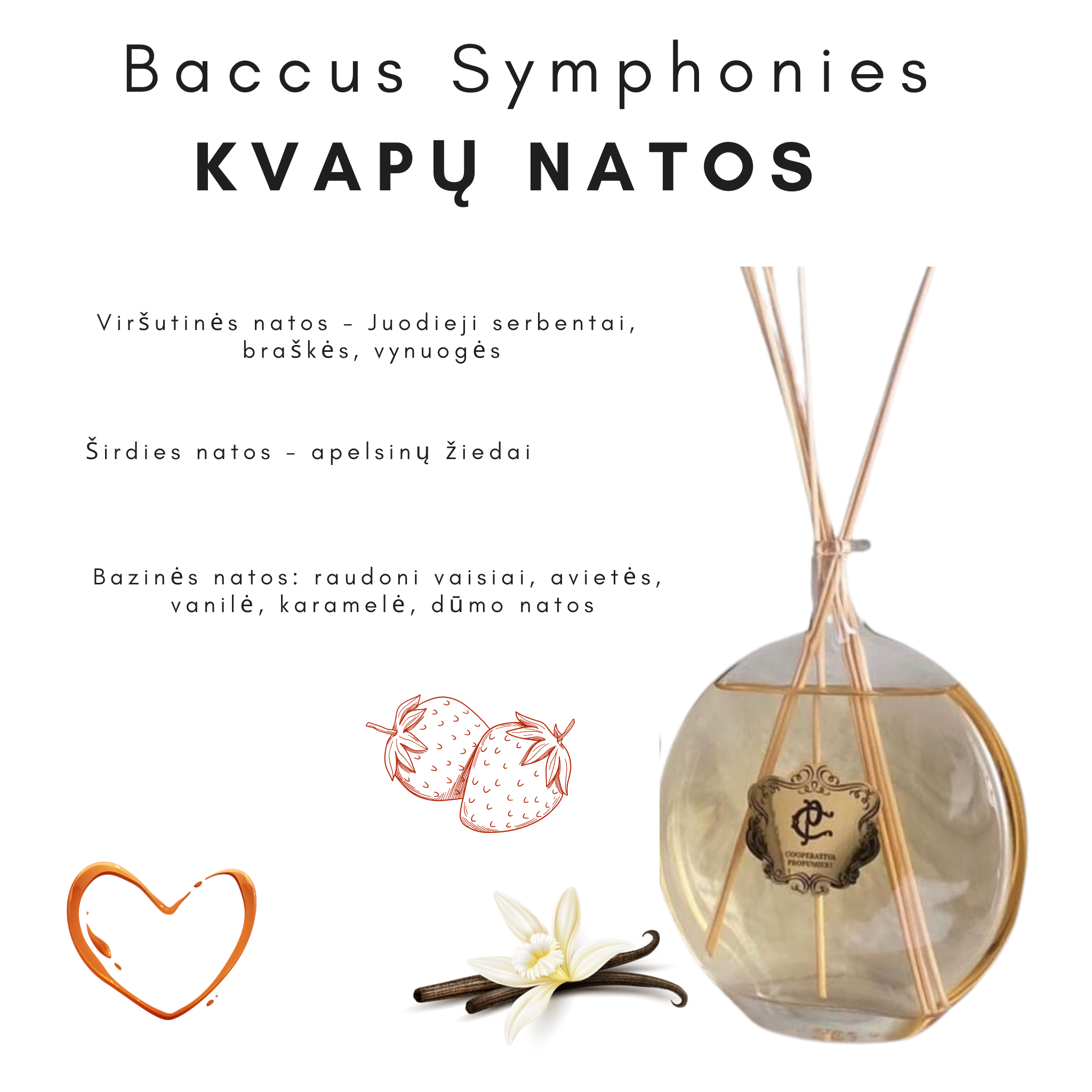 Namų kvapai su lazdelėmis "Baccus Symphonies"