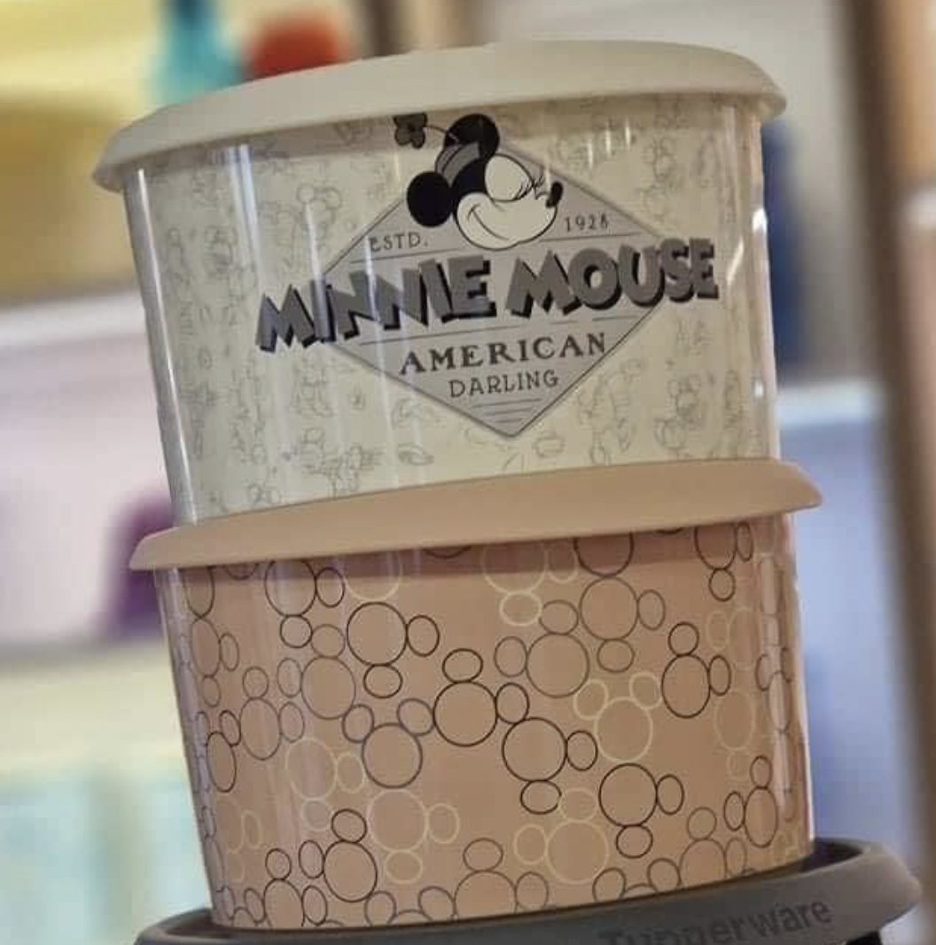 Greito uždarymo dežutės disney 940ml (2vnt/kompl)