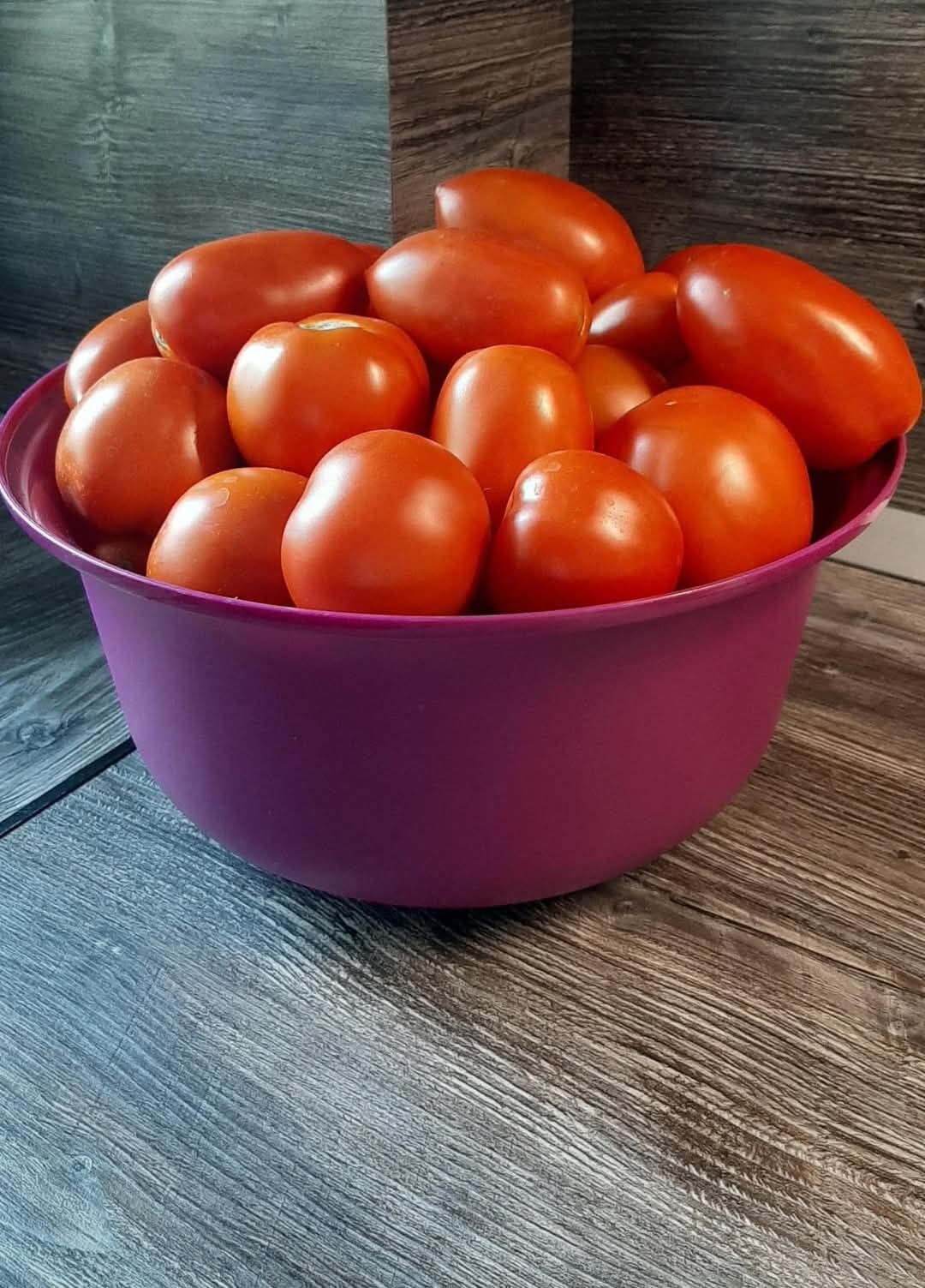 Aloha 7.5 l tupperware dubuo