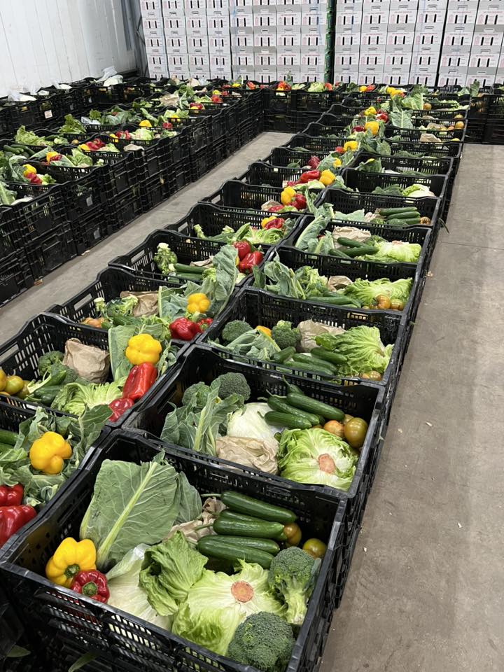  Mixed Fruit & vegetable baskets are $75