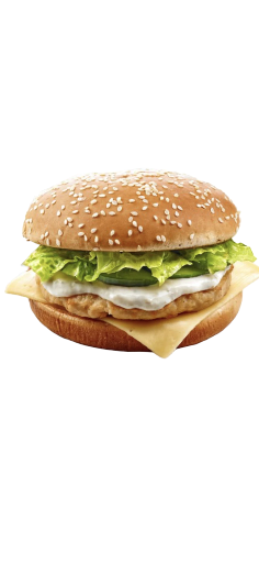 Chicken Burger rond 800G Macellarius 