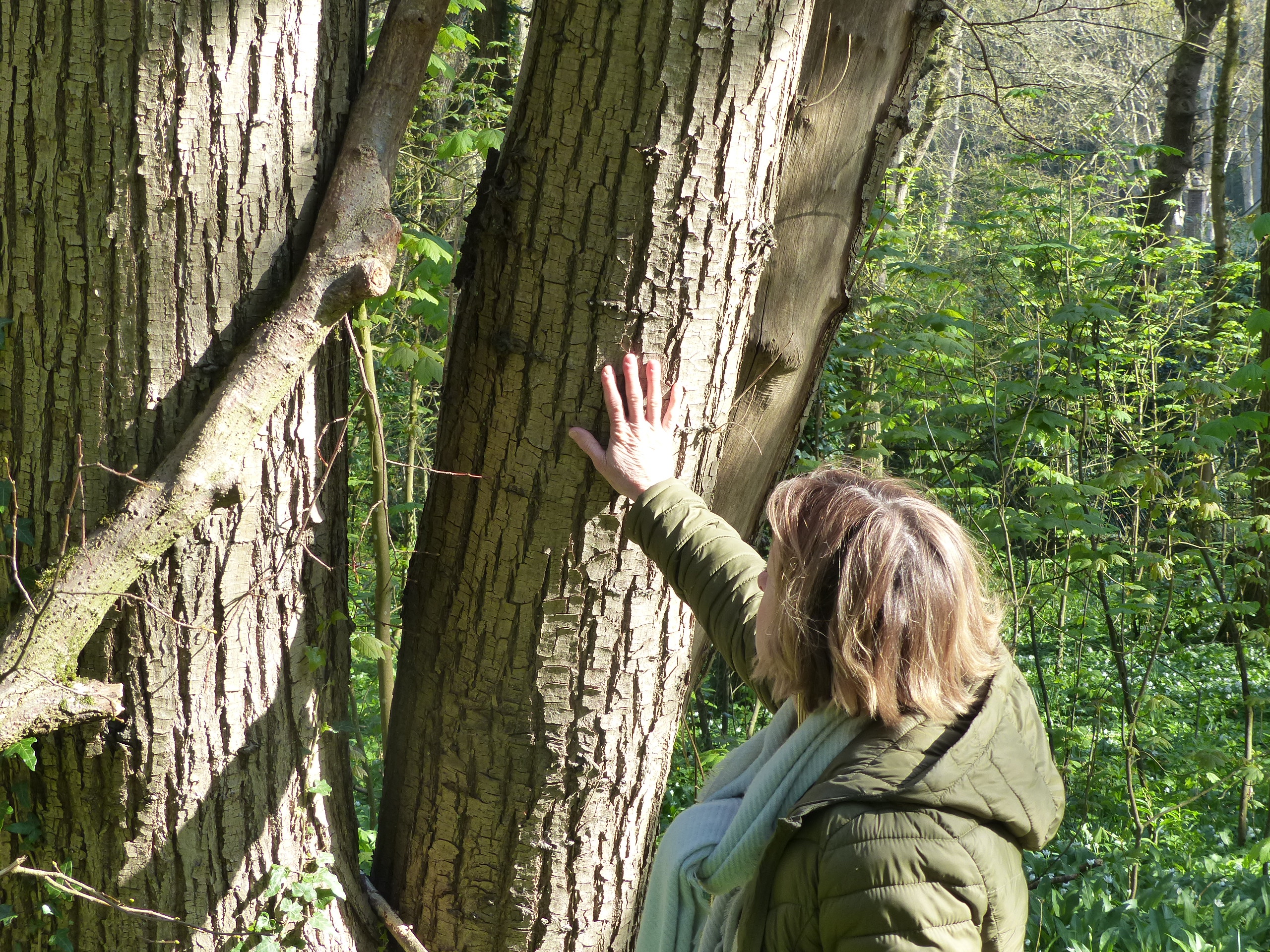 Gagnez en sérénité