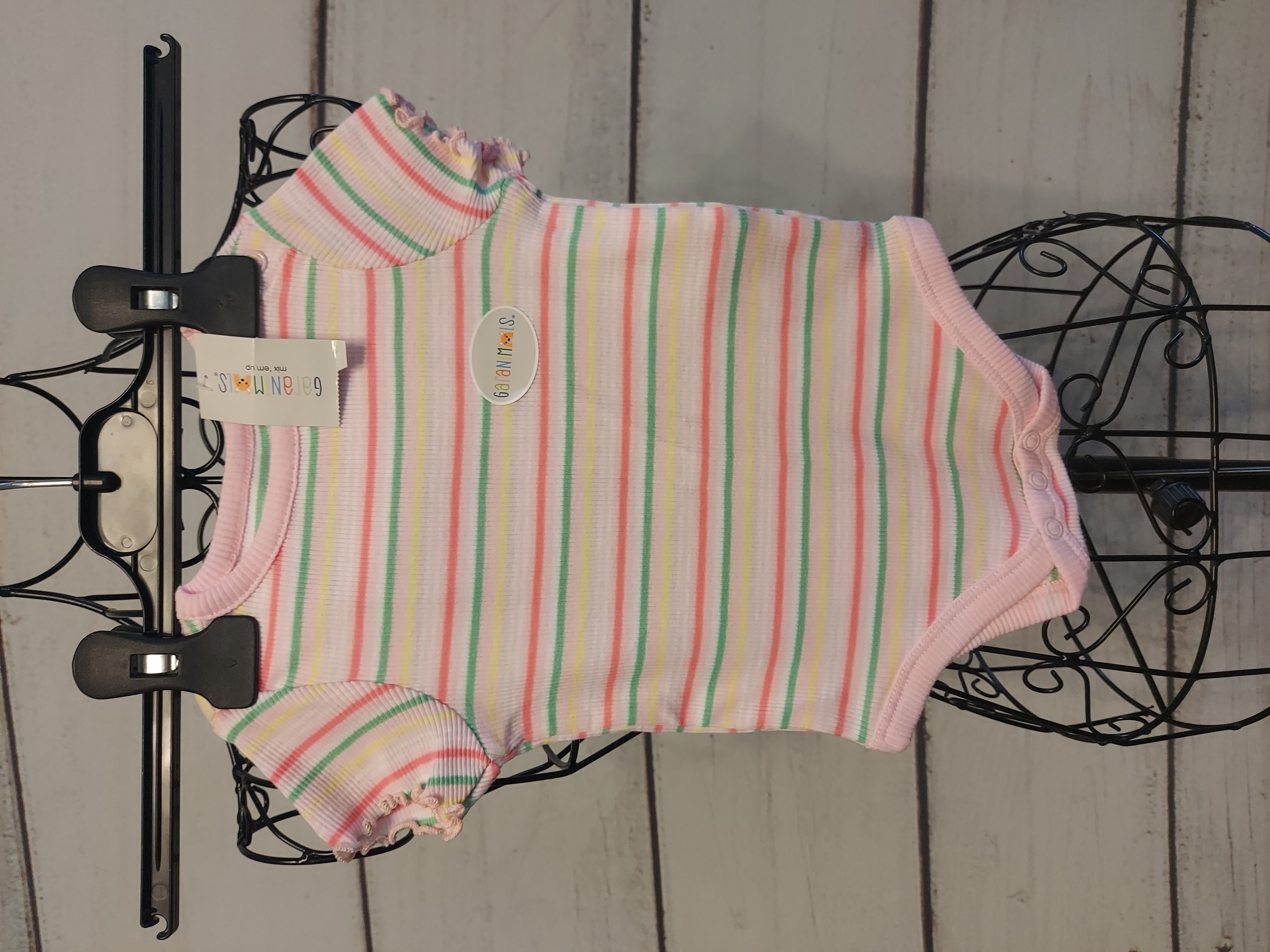 Garanimals bodysuits 3-6 months girl 2pcs