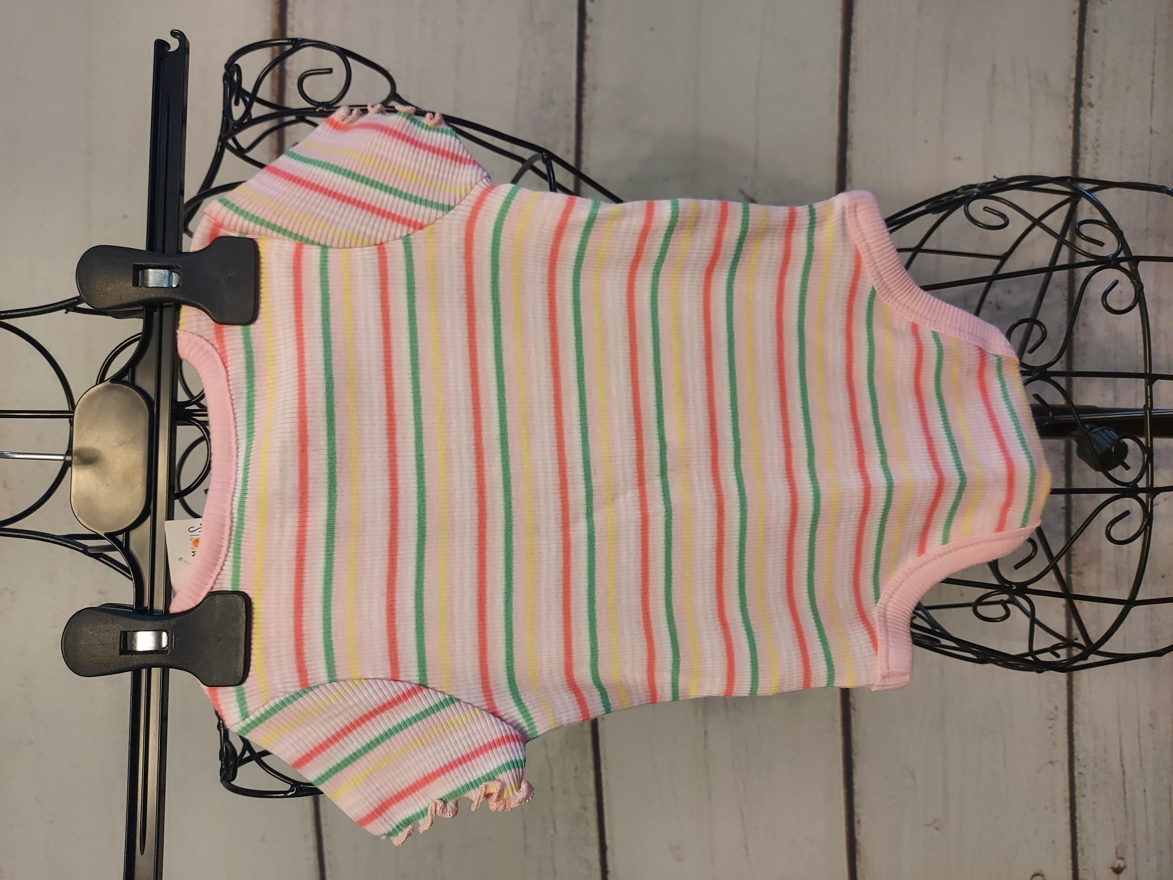 Garanimals bodysuits 3-6 months girl 2pcs