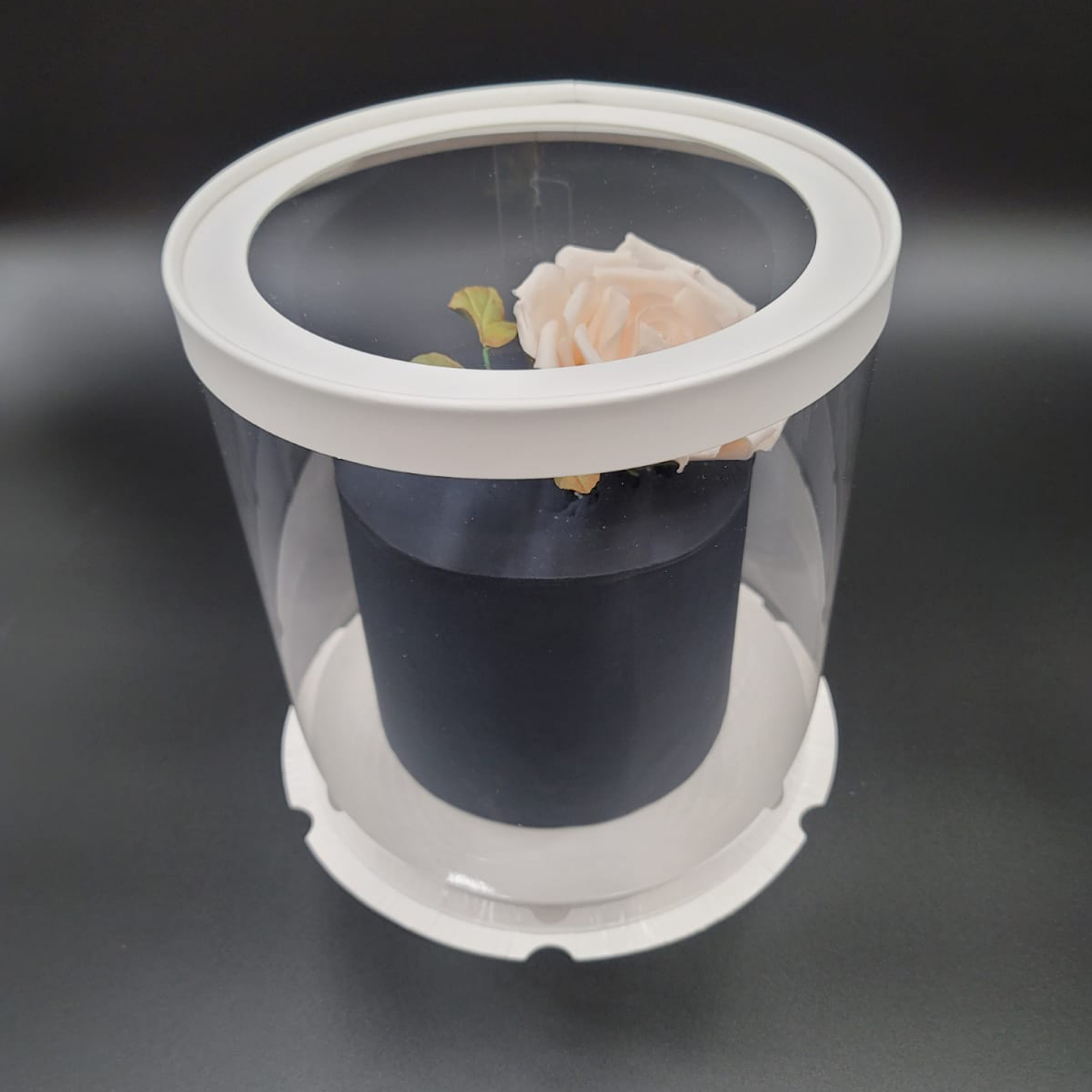 Set of 8.5 inch x 9 inch round clear cake box with clear lid plus free ribbon