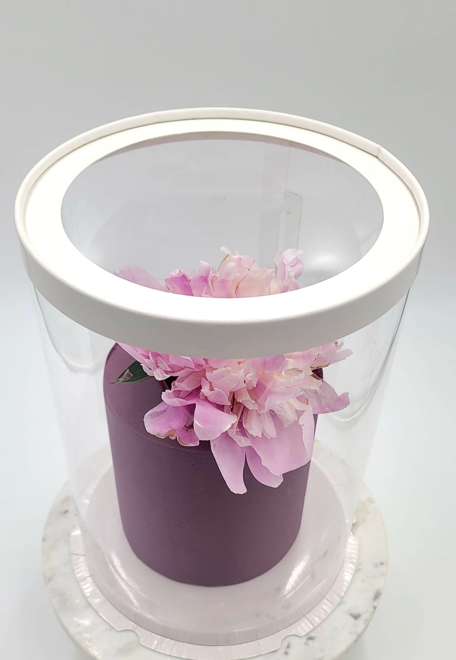 Set of 8.5 inch x 12 inch round cake box  with clear lid plus free ribbon