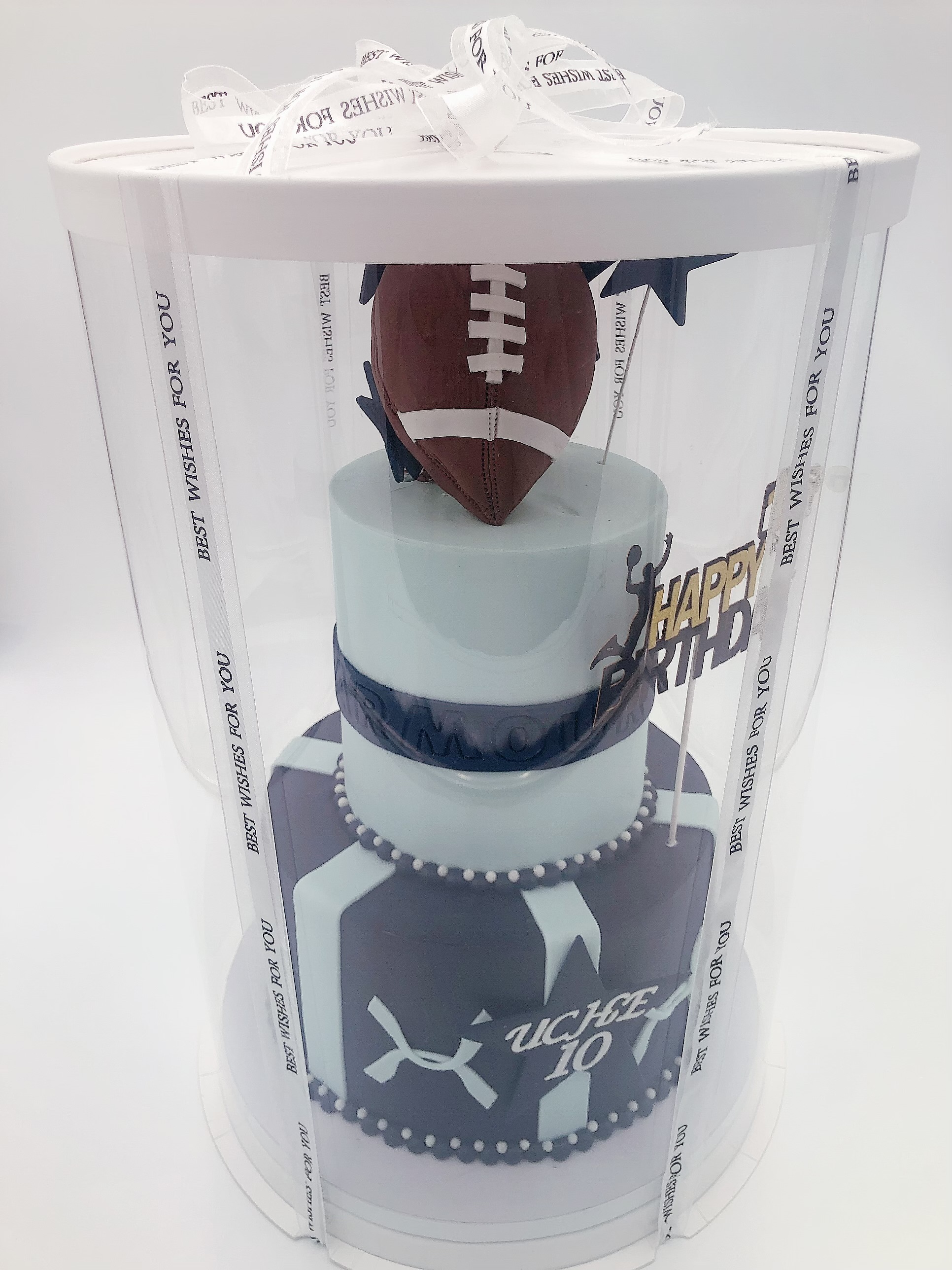 Set of 10 inch x 17 inch transparent round cake box with free ribbon