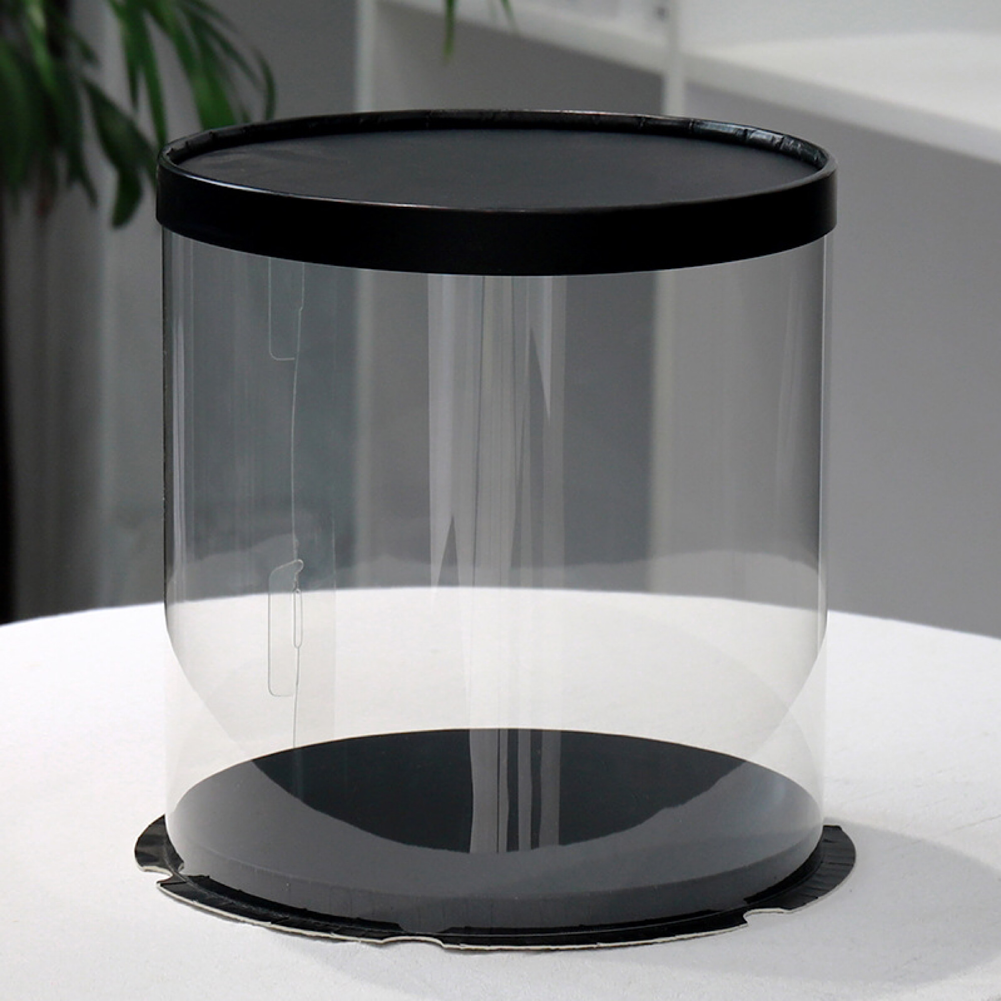Set of 10 inch x 17 inch transparent round cake box with free ribbon
