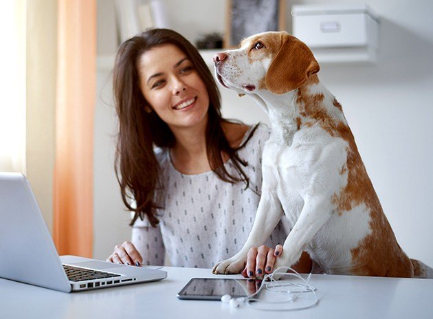 Follow up Virtual Telemedicine Consultation*