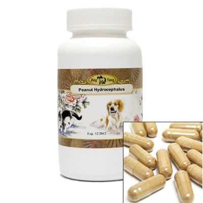 Peanut Hydrocephalus Capsules 0.5g #200