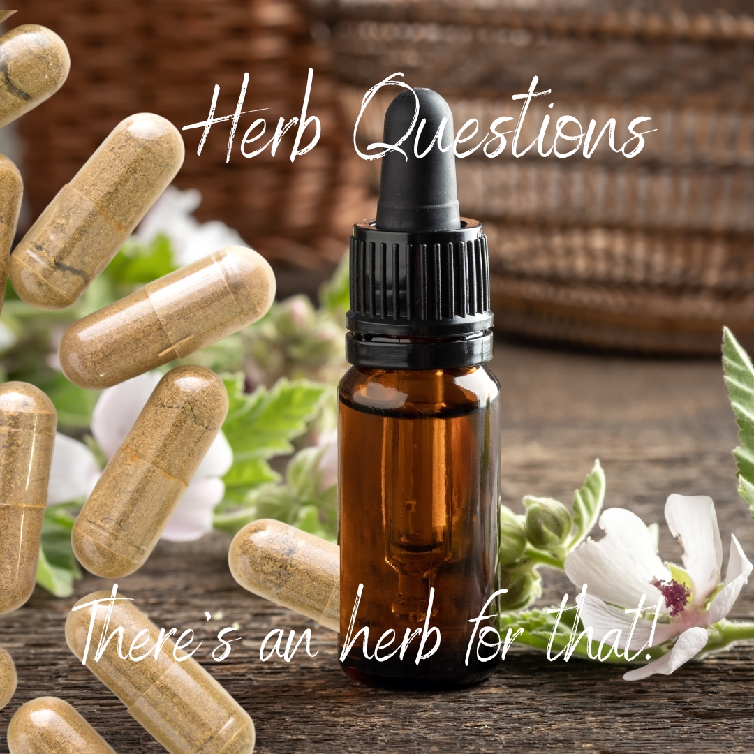 Herb Question*