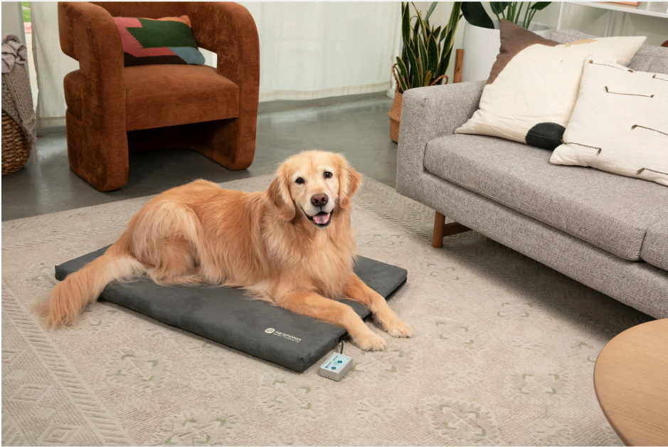 Bio-Pulse PEMF Dog Bed Therapy System - Plush Micro-Suede