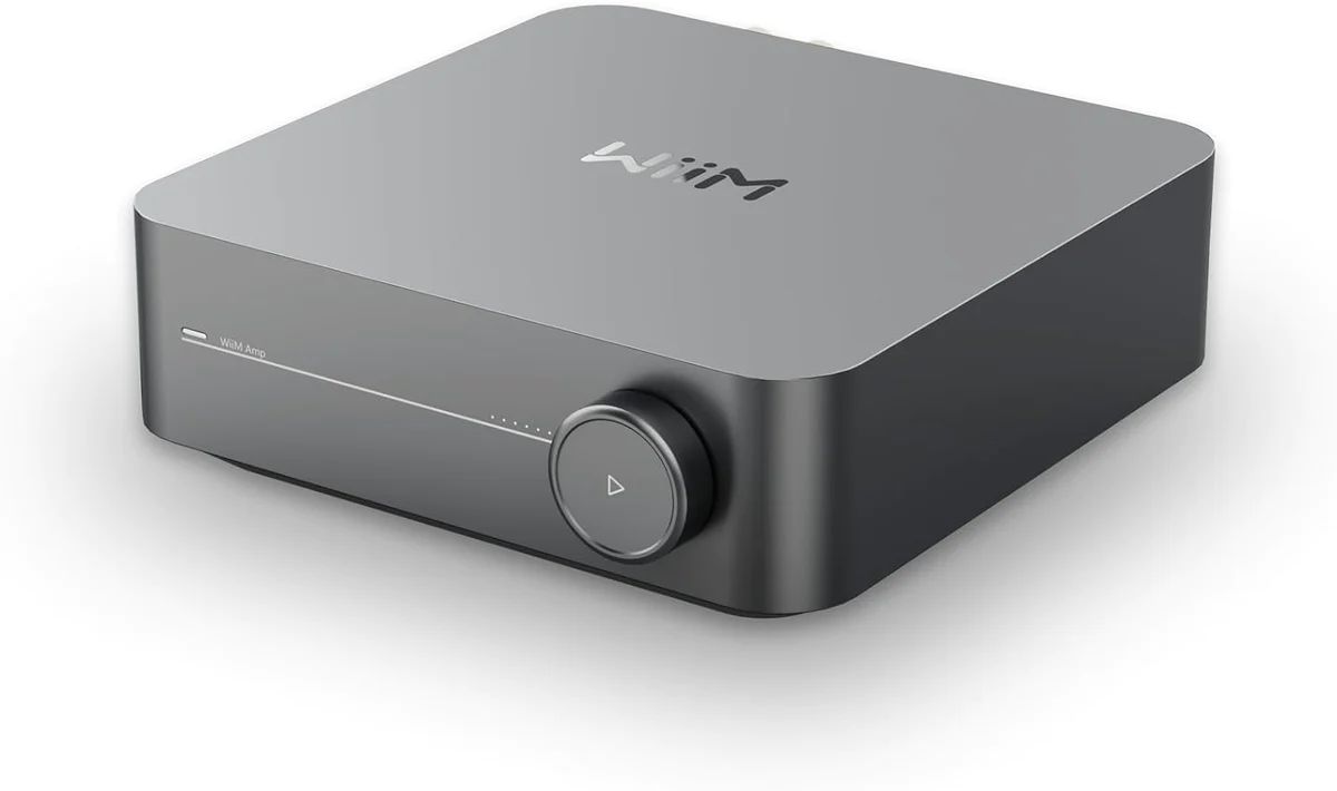 WIIM amp