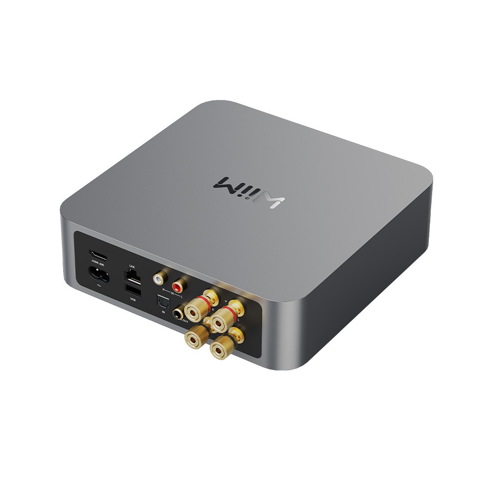 WIIM amp