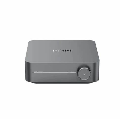 WIIM amp