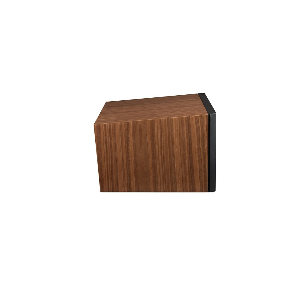 MARTIN LOGAN MOTION C10