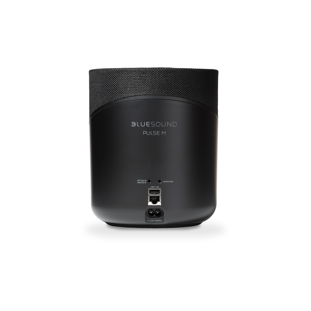 BLUESOUND PULSE M