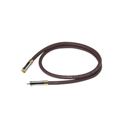 REAL CABLE AN99 S/PDIF 1m 