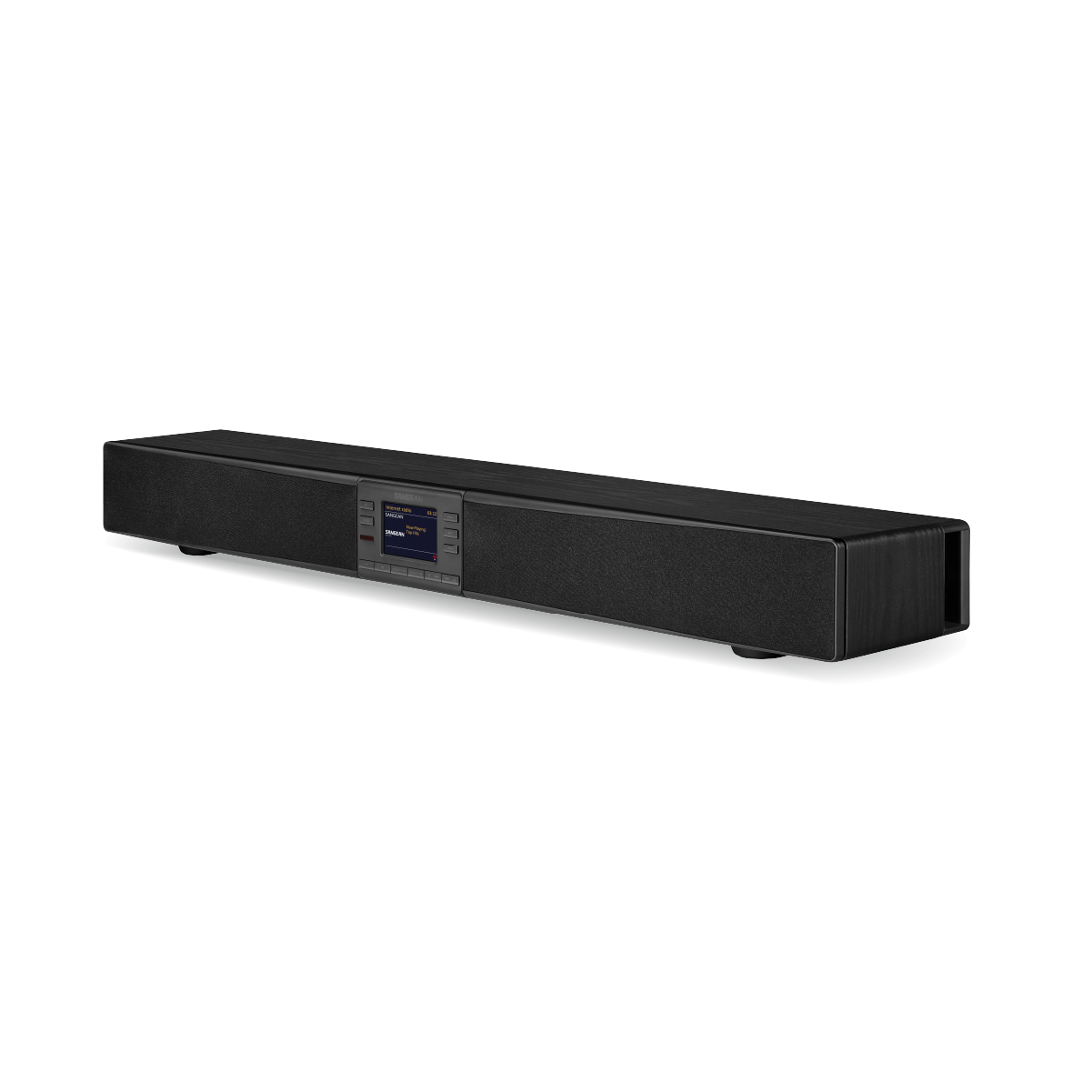 SANGEAN SB-100