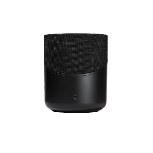 BLUESOUND PULSE M