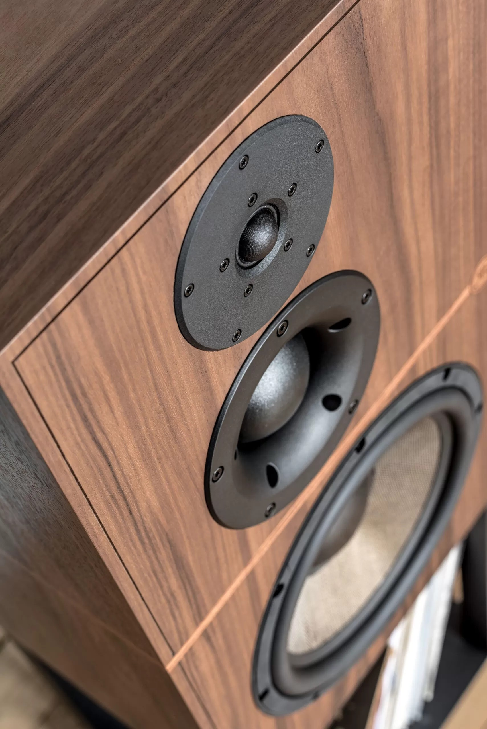 REVIVAL AUDIO ATALANTE 5