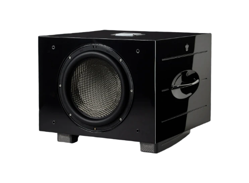 REL ACOUSTICS CARBON SPECIAL BLACK LABEL