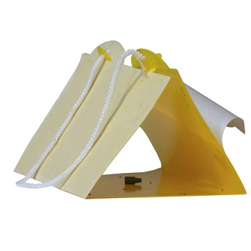 Delta Yapışqan Tələ