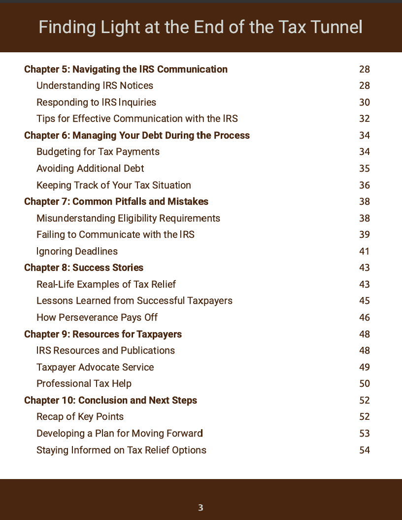 Finding Light at the End of the Tax Tunnel - Instant Digital Download