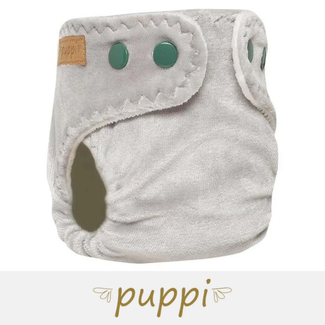 Fitted - Puppi