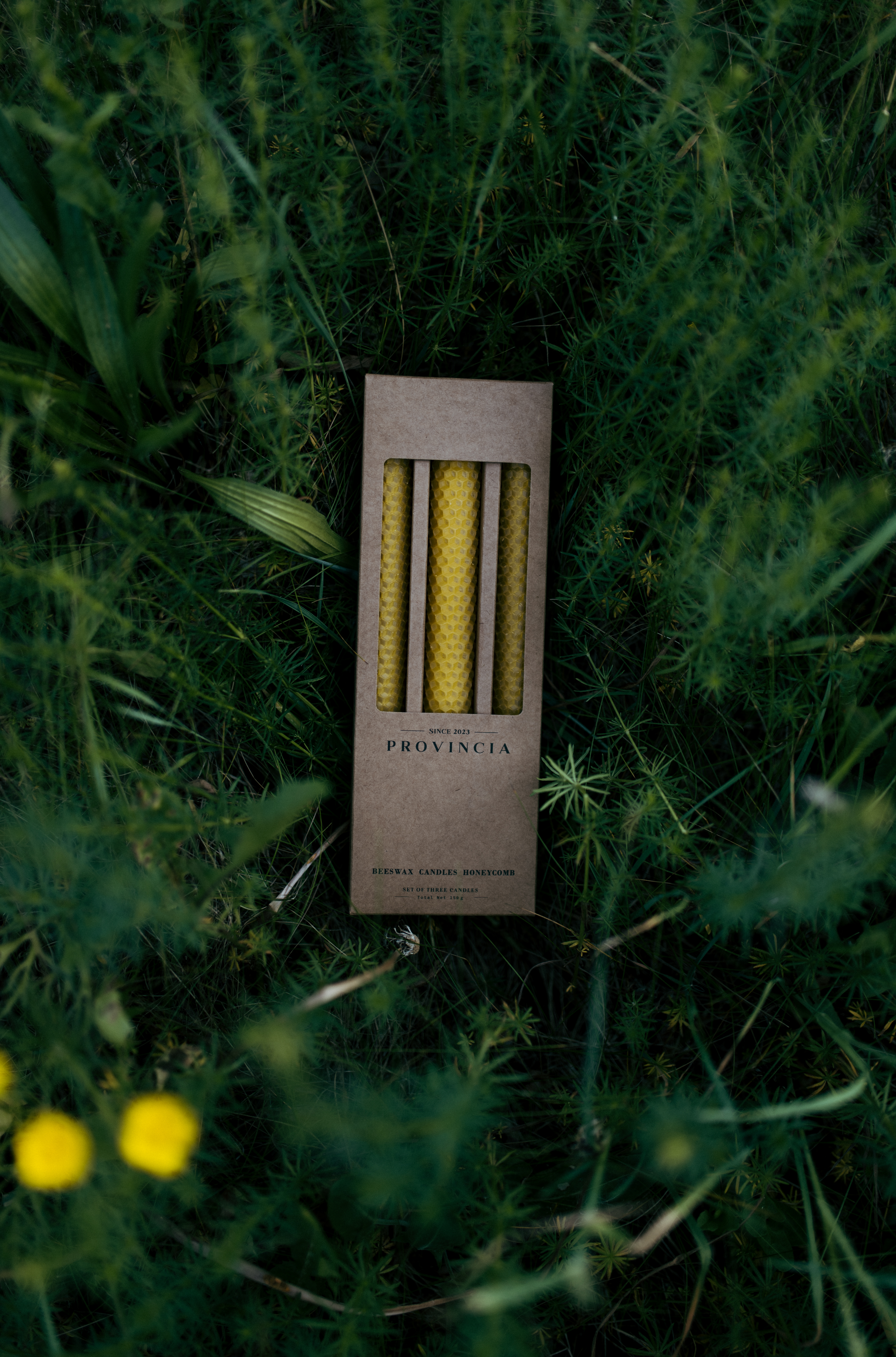 CLASSIC CANDLES "HONEYCOMB" Set of 3