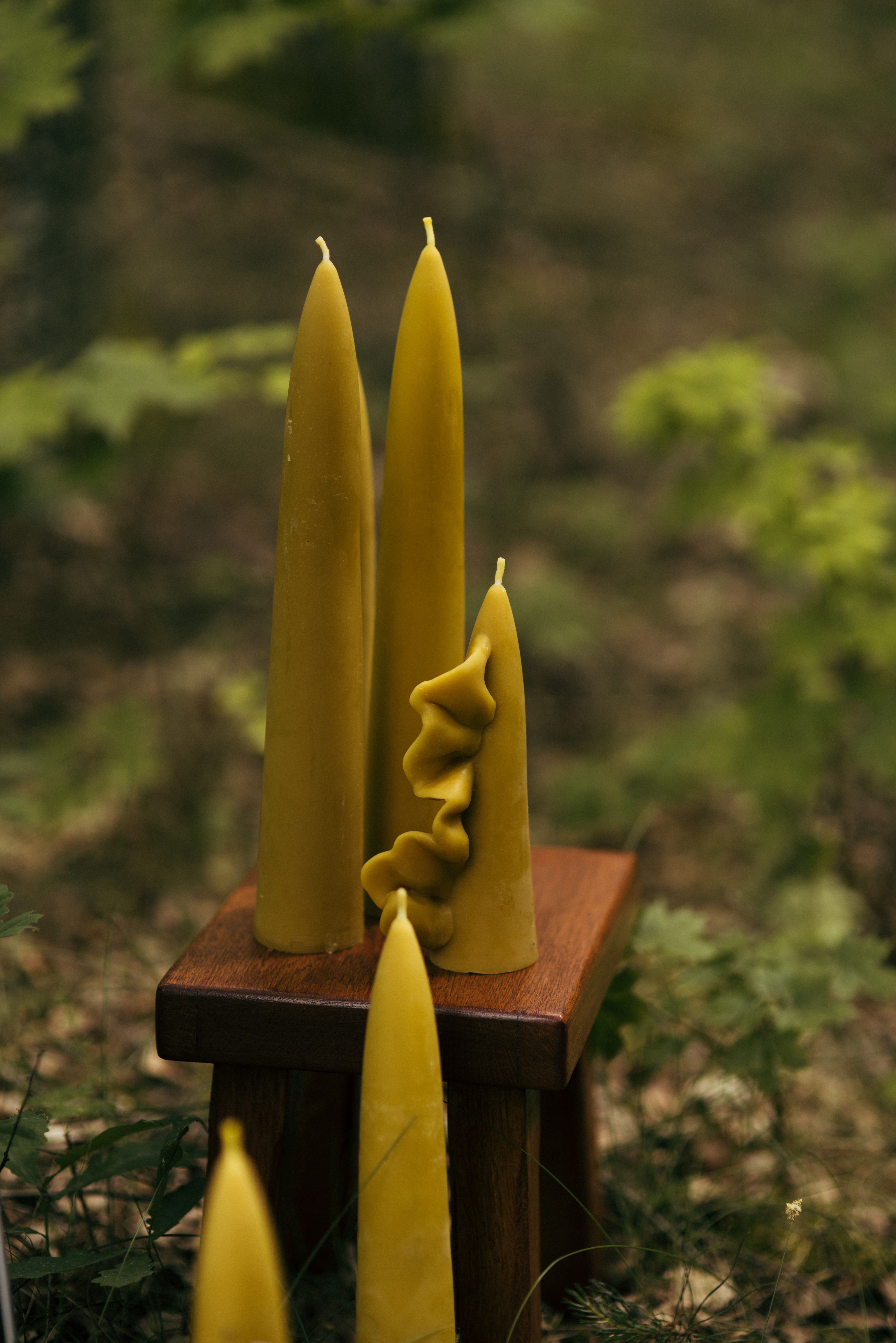 CANDLE "RUFFLE"