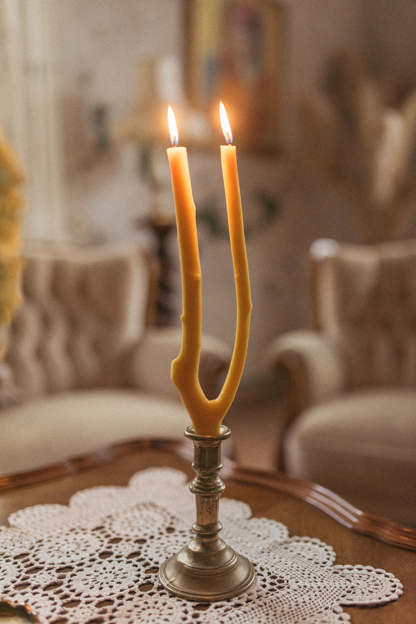 CANDLE "BRANCH"
