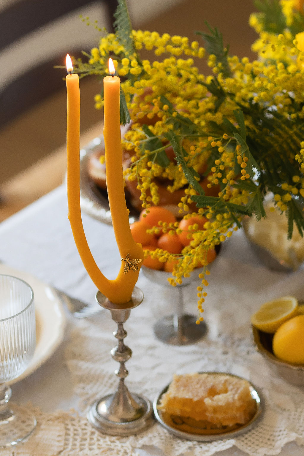 CANDLE "BRANCH"