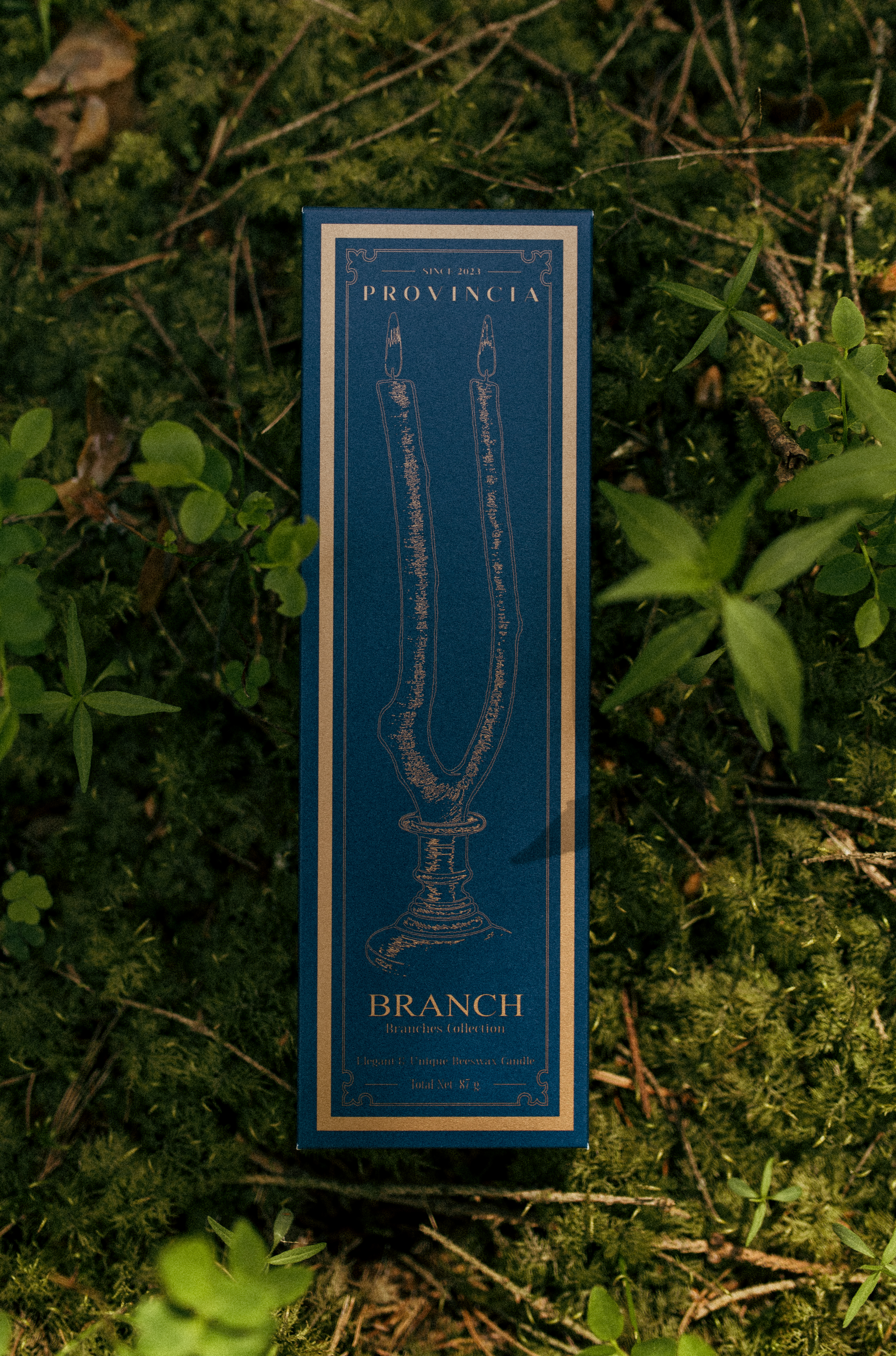 CANDLE "BRANCH" IN BLACK