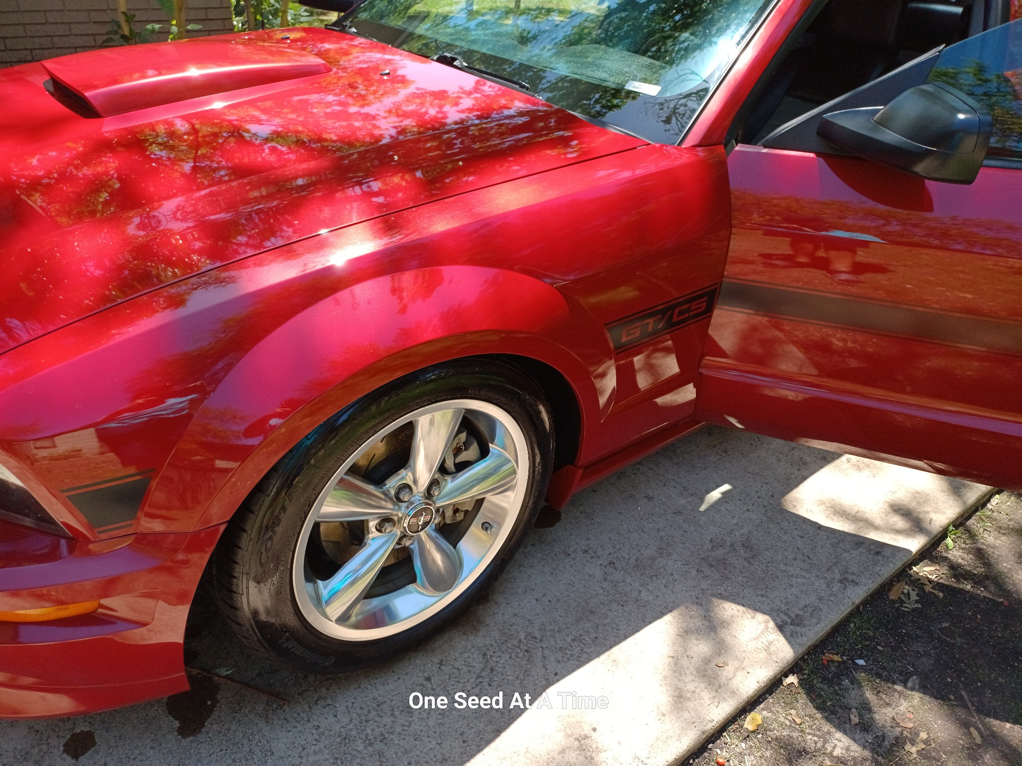 Stage 1 Paint Correction (Polishing)