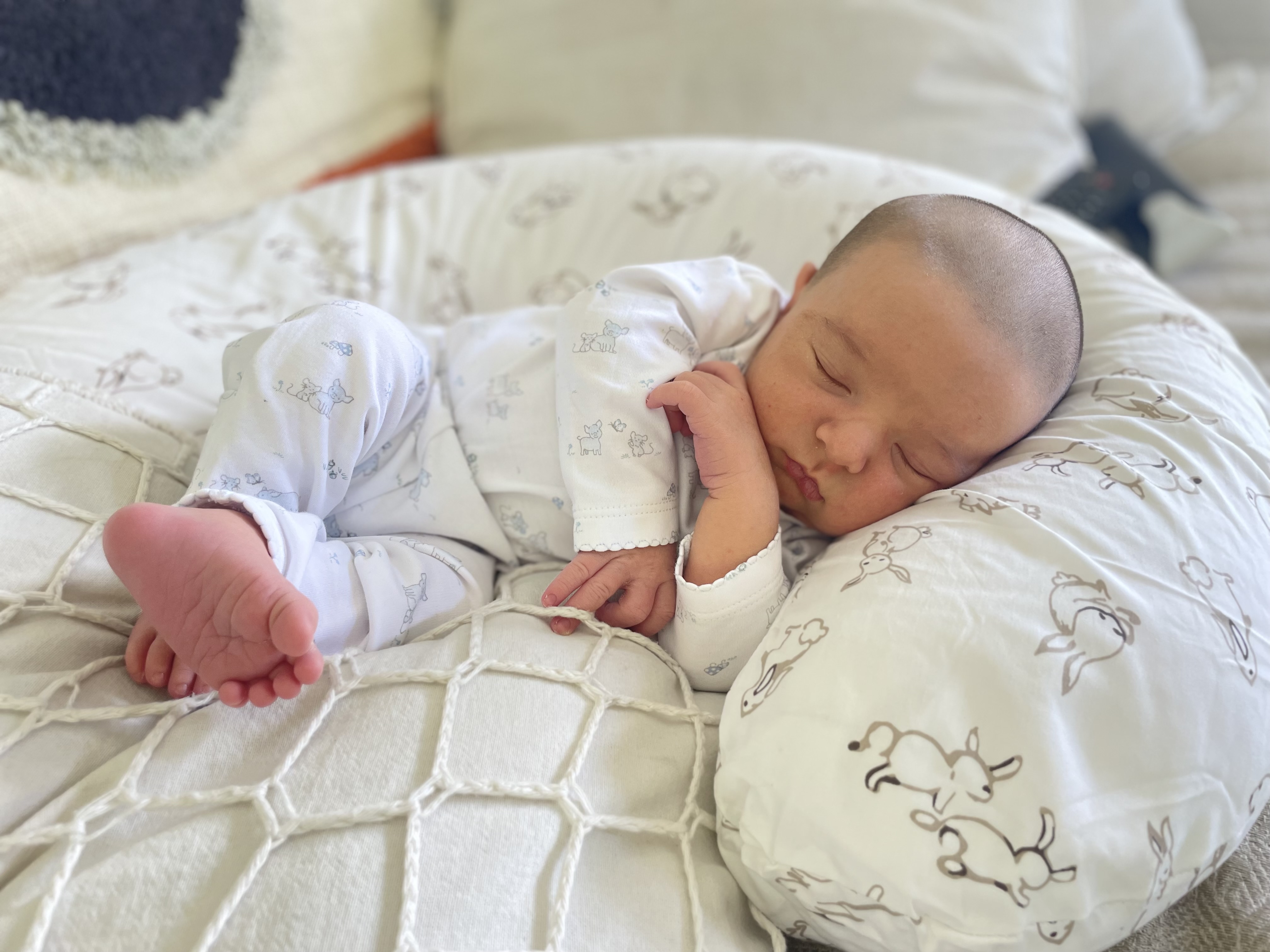 Almohadones de Lactancia