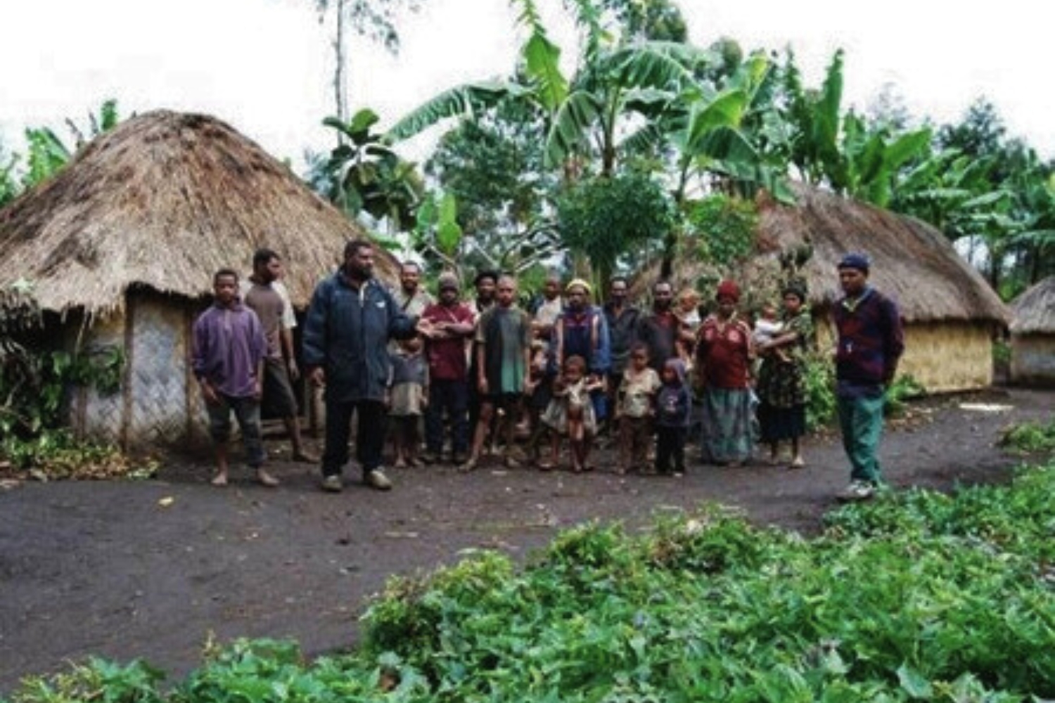 PAPUA NEW GUINEA NEBILYER VALLEY - Premium Roast