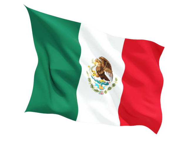 MEXICO FINCA NUEVO - Premium Roast