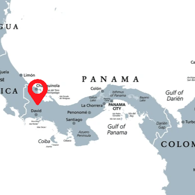 PANAMA BOQUETE - Premium Roast