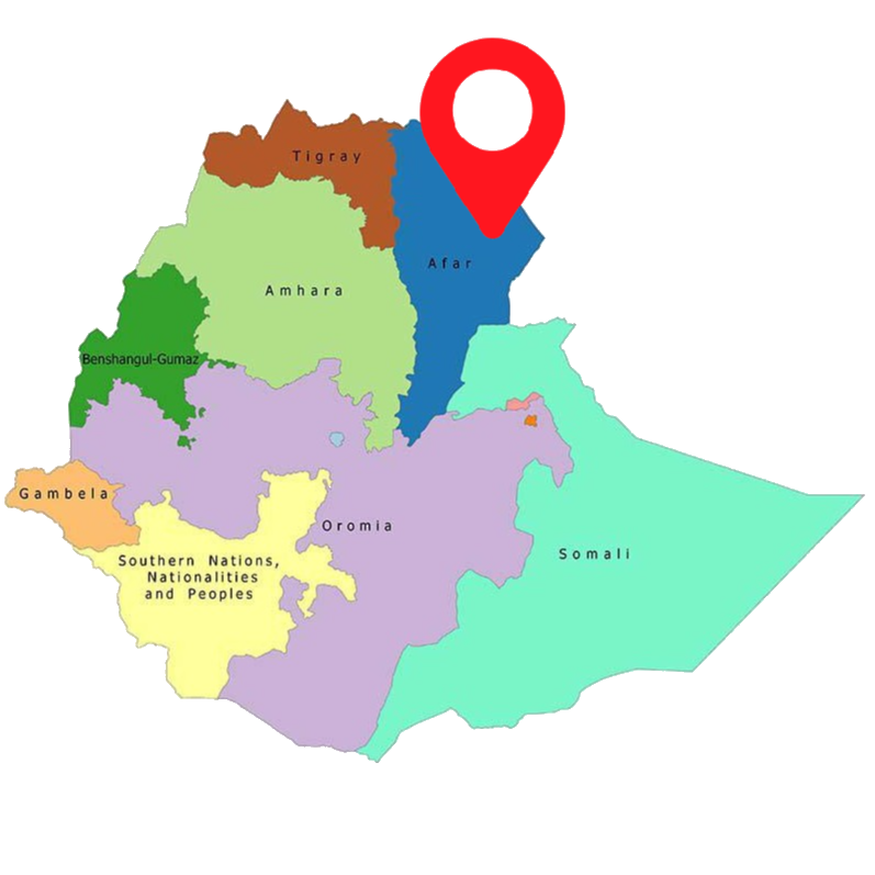 ETHIOPIA QUEEN CITY HARRAR - Espresso