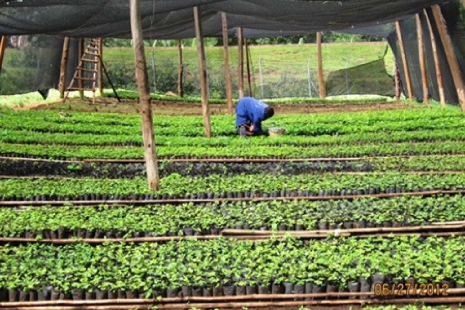 In The Deep - Memorial Roast (To Benefit Matt Hunt's Family)