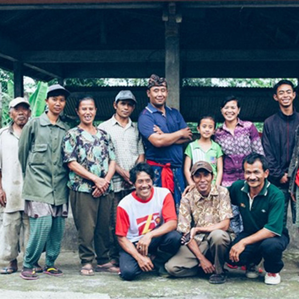 BALI KINTAMANI - Premium Roast